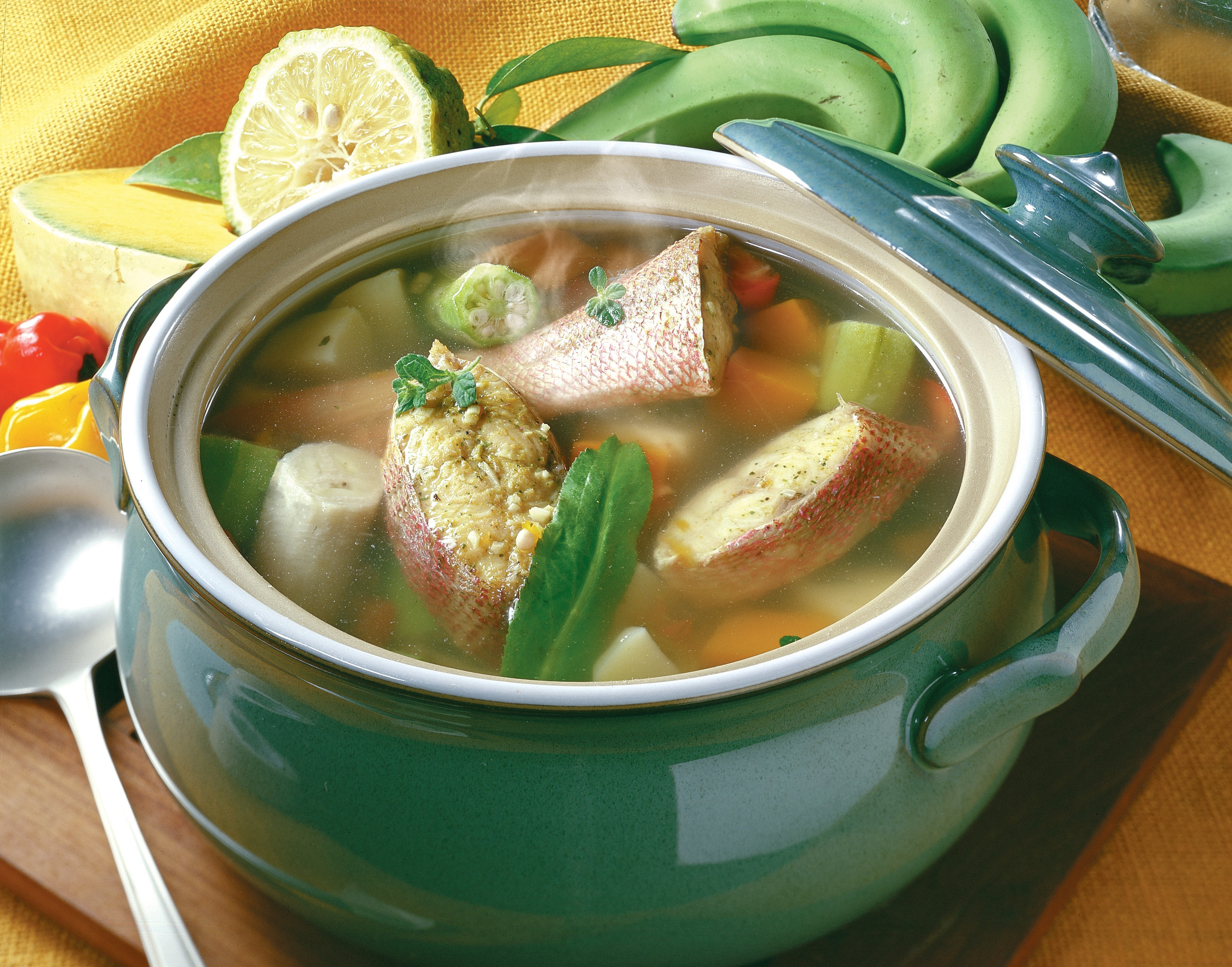 fish-broth-nestl-recipes