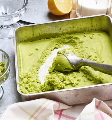 Avocado-Rosmarin-Sorbet