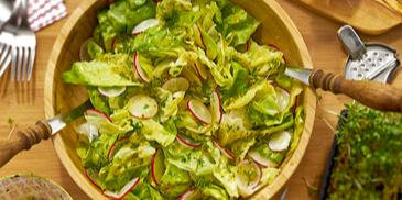 Kopfsalat mit Radieschen und Kresse
