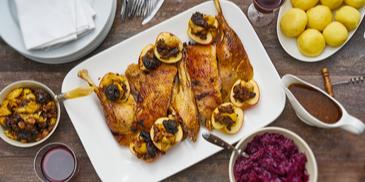 Gans Mecklenburger Art