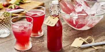 Rhabarber-Ingwer Sirup