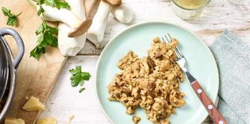 Kräuterseitling Pilz Risotto