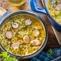 Dino Futter Suppe