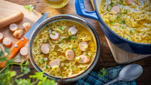 Dino Futter Suppe