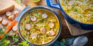 Dino Futter Suppe