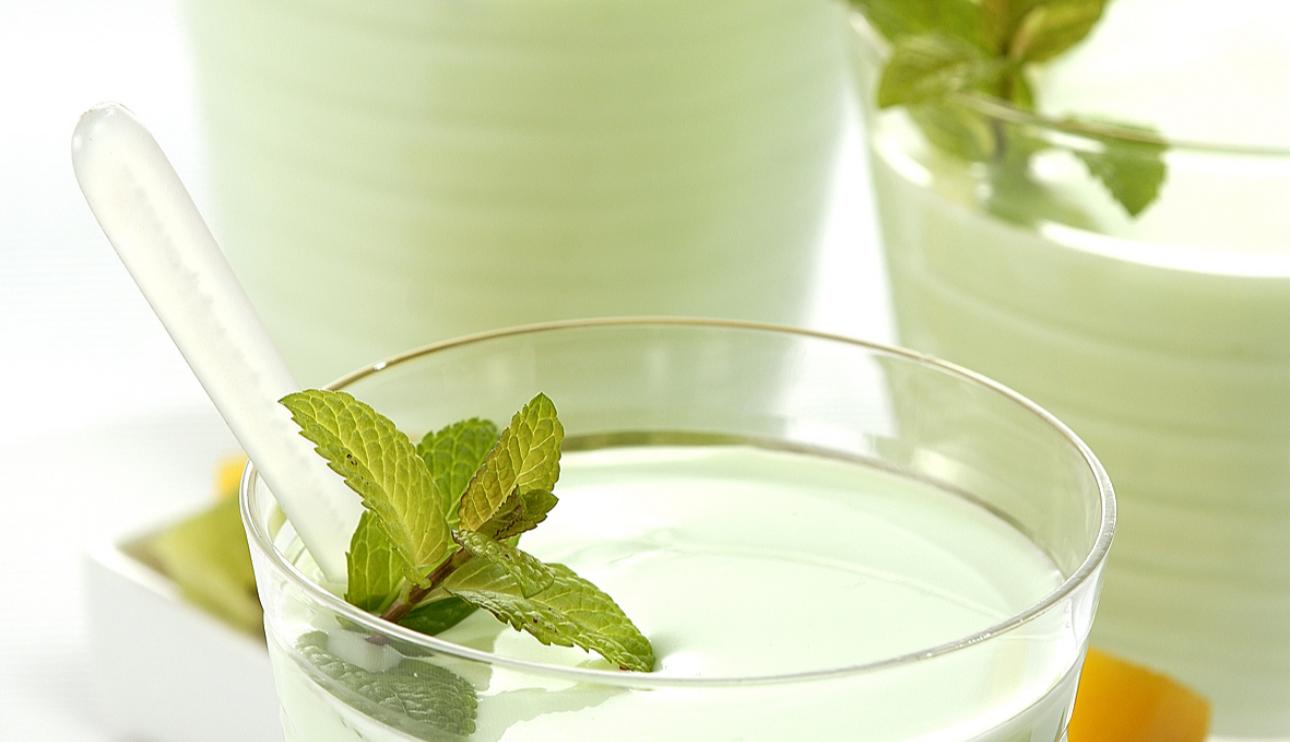 Panna cotta a la menta