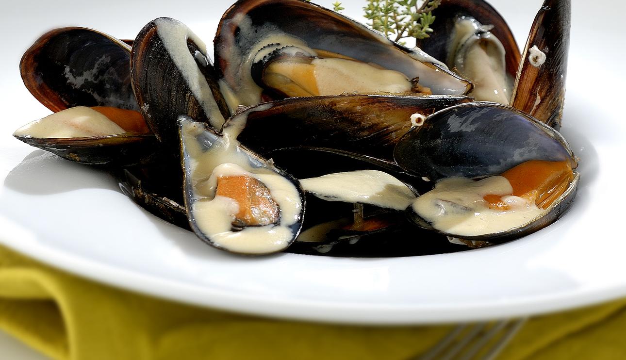 Mejillones a la crema