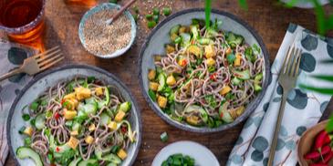 Otsu - japanischer Nudelsalat
