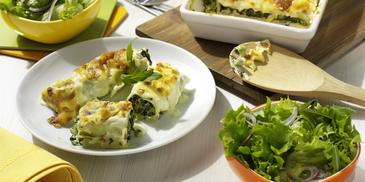 Gratinierte Cannelloni "verde"