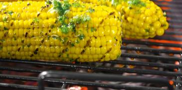 Maiskolben mit Knoblauch und Majoran