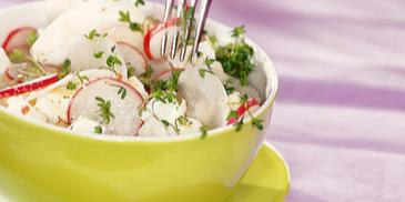 Radieschen Rettich Salat mit Ziegenfrischkäse