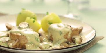 Dänische Schweinemedaillons in Champignon-Senf-Sauce