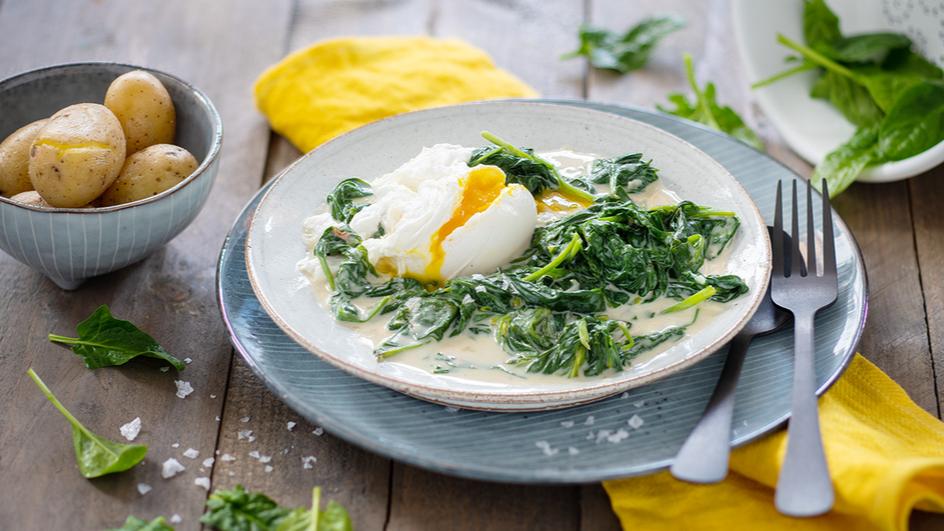 Pochierte Eier auf Blattspinatbett