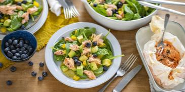 Sommersalat mit gezupftem Lachs