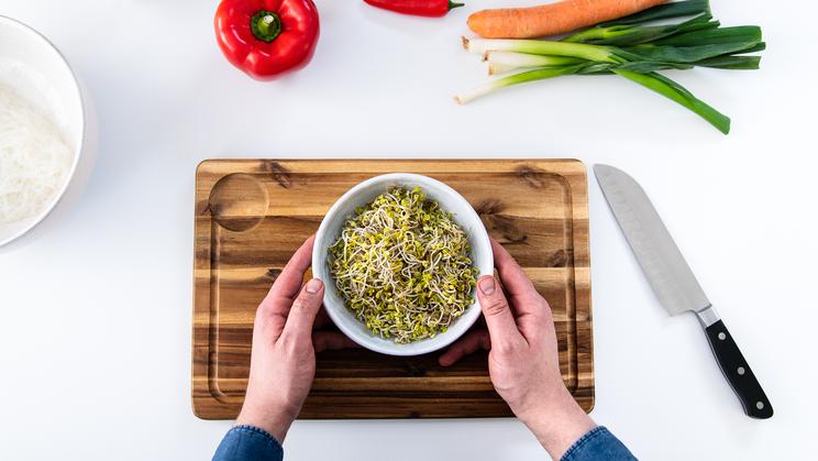 Glasnudelsalat mit Korianderöl