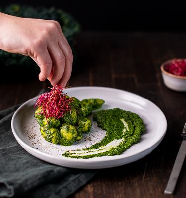 Gnocchi mit Grünkohlpesto