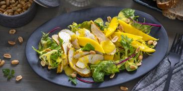 Blattsalat mit Hähnchenbrust und Mangodressing