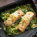 Brokkoli-Lachs-Gratin