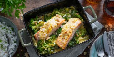 Brokkoli-Lachs-Gratin